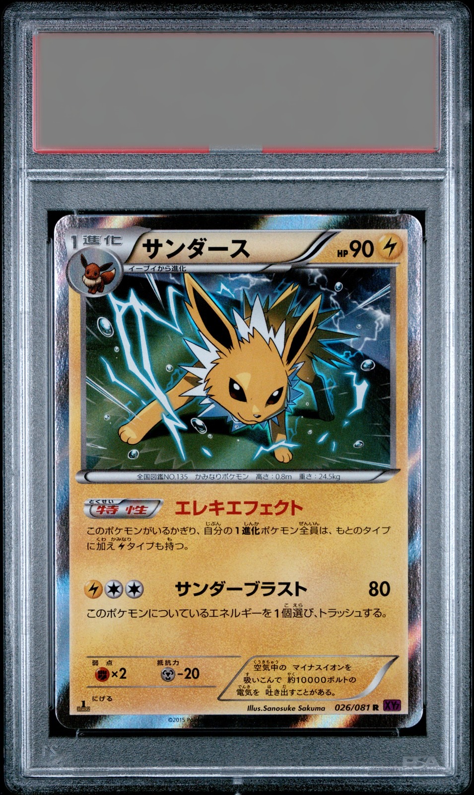 Jolteon · 2015 Xy Bandit Ring 1st Ed (JPN) — PSA 10